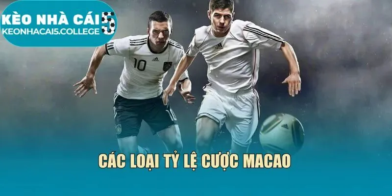 Các loại tỷ lệ cược macao