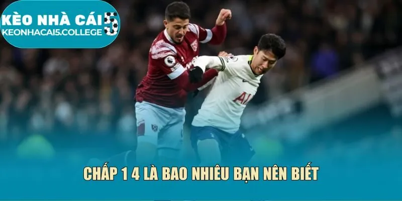 Chấp 1 4 là bao nhiêu bạn nên biết