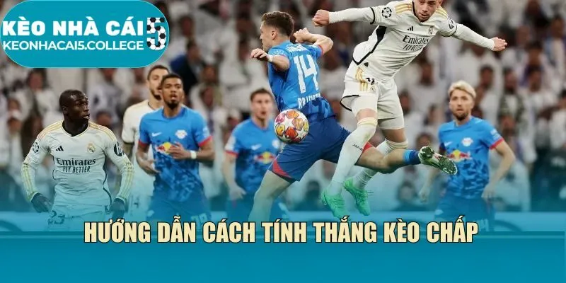 Hướng dẫn cách tính thắng kèo chấp