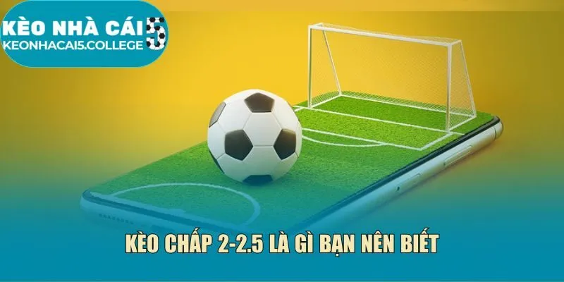 Kèo chấp 2-2.5 là gì bạn nên biết