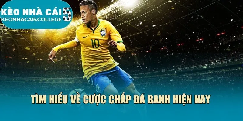 Tìm hiểu về cược chấp đá banh hiện nay