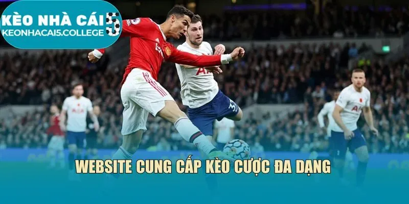 Website cung cấp kèo cược đa dạng